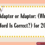 adapter-or-adaptor