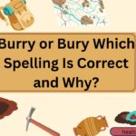 burry-or-bury