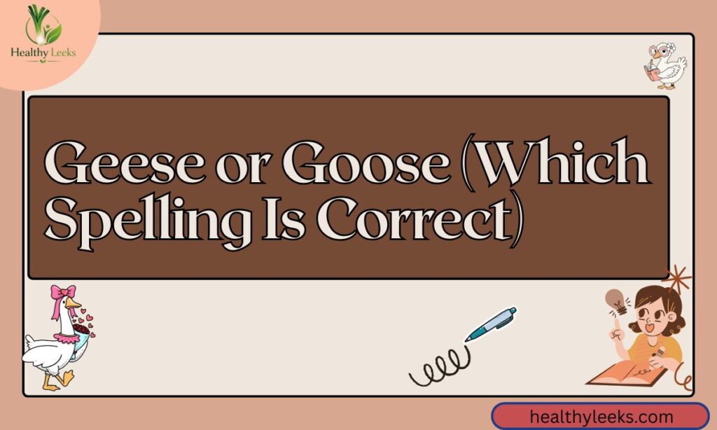 geese-or-goose