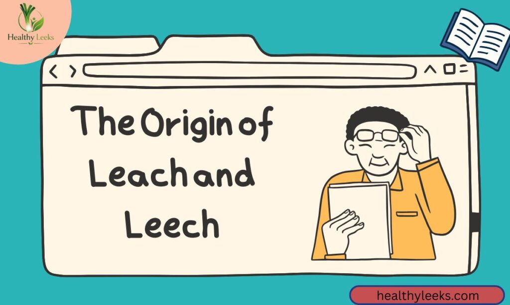 the-origin-of-leach-and-leech