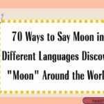 How to Say Moon in Different Languages