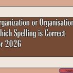 Organization or Organisation