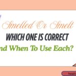 Smelled Or Smelt