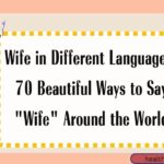 Wife in Different Languages